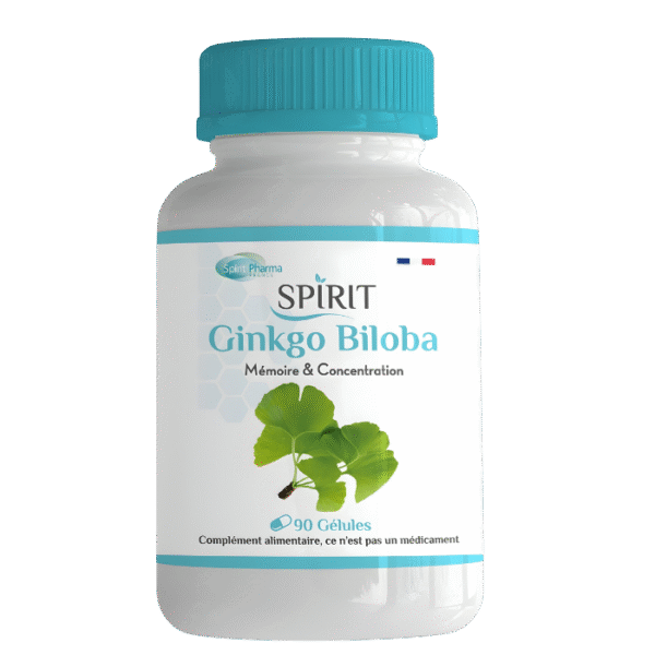 Spirit Ginkgo Biloba 90 capsules